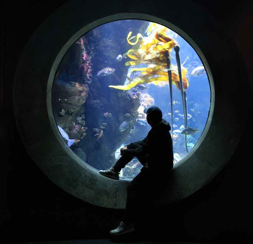 underwater window and a man sitting wearing hat